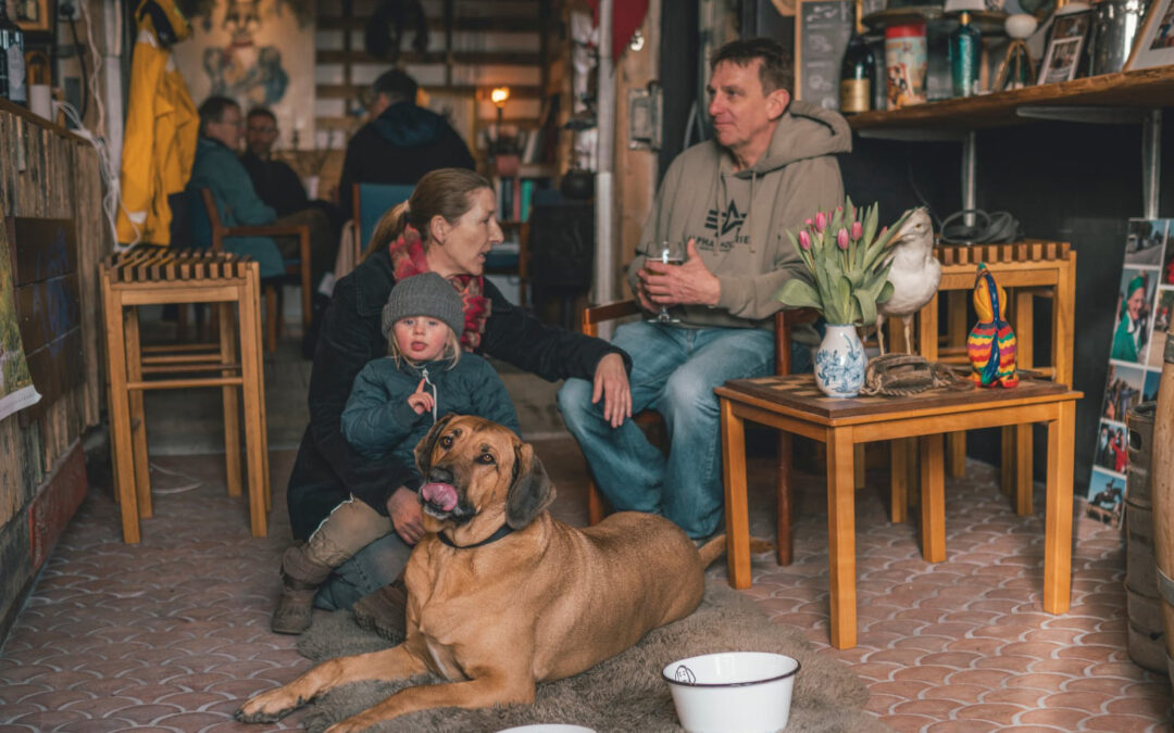 Jeres hund er velkommen ombord
