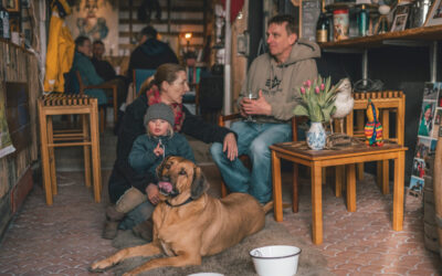 Jeres hund er velkommen ombord